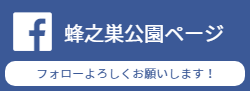 蜂之巣公園Facebookページ