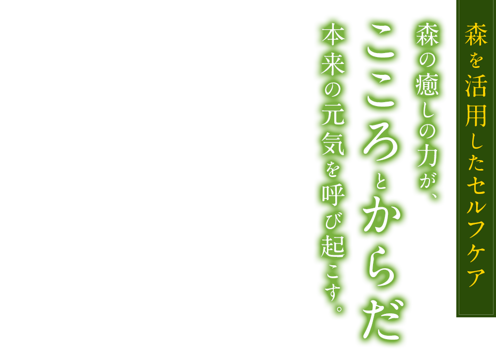 ［森を活用したセルフケア］森の癒しの力が、こころとからだ本来の元気を呼び起こす。