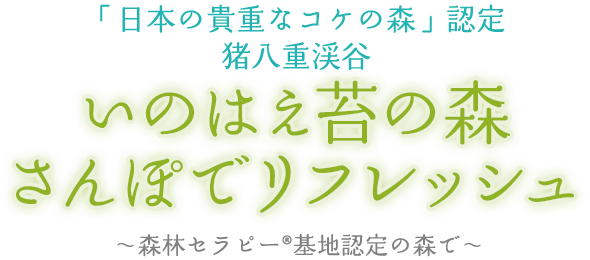 「日本の貴重なコケの森」認定 猪八重渓谷 いのはえ苔の森さんぽでリフレッシュ ～森林セラピー®基地認定の森で～